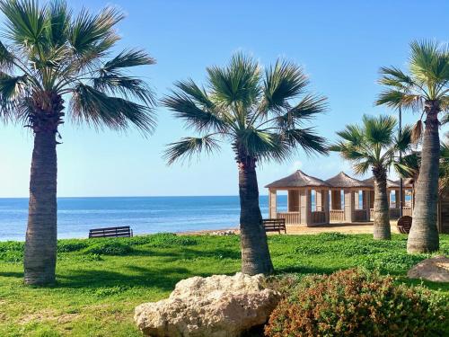 Peaceful Oasis at the Beach