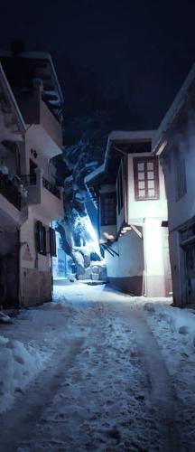 Iliana's house in Naousa