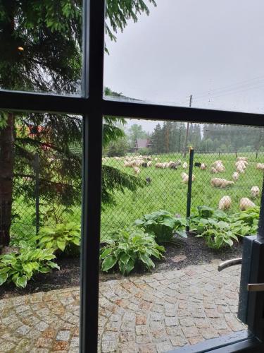 Pokoje na Buńdówkach, Zakopane (foto 4)