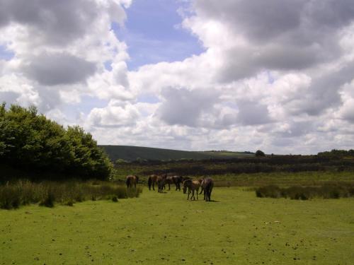 Monks Cleeve - image 4