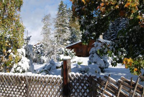 Berghaus Tirol - Luxus Apartement - image 11