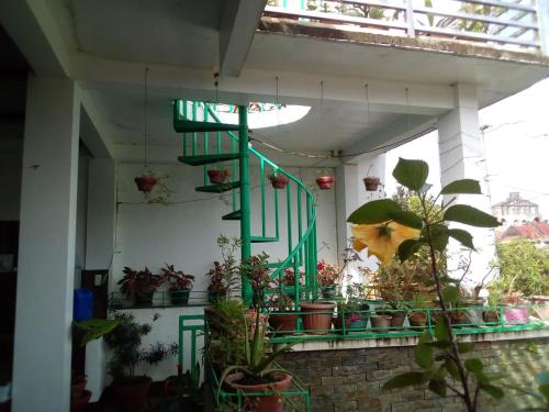 Ellens Homestay