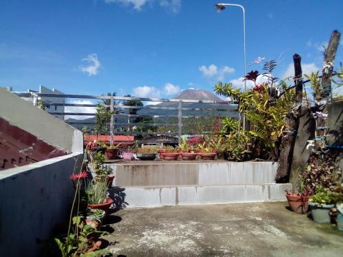 Ellens Homestay