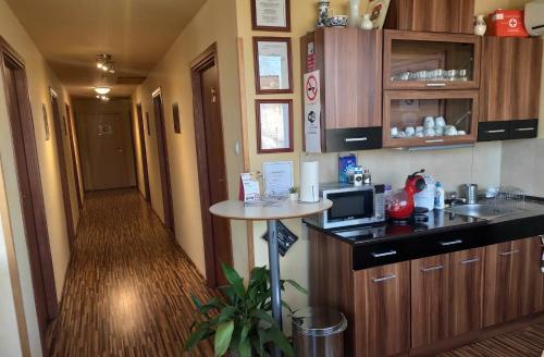 Kitchen, Silver Park Vendeghaz in Berettyóújfalu