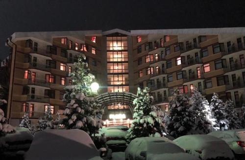 Flora Apartment 612A Borovets