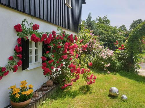 Im Dreiländereck - DOM PRZY TRZECH GRANICACH - Apartment - Leśna