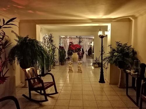 MI CA-SA EN MÉRIDA in Mérida, Mexico