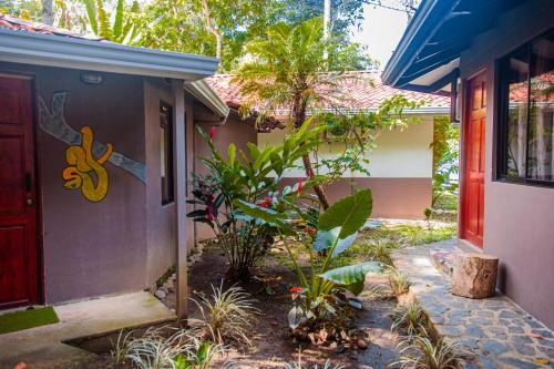 Bambutel Cocles in Пуэрто-Вьехо-де-Таламанка