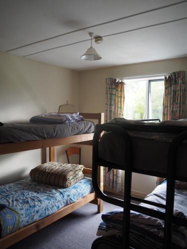 4 bunk beds