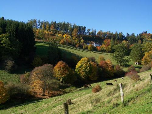 Ferienwohnungen Sonnenpfad