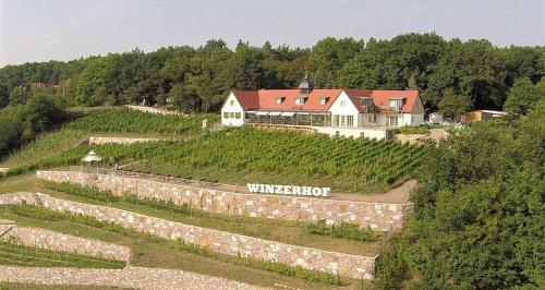 Pension Bella Vista - Winzerhof Golk