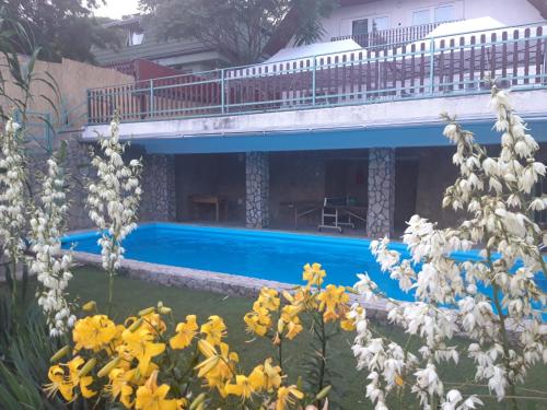 Swimming pool, Attila-Apartman Budaors in Budaors
