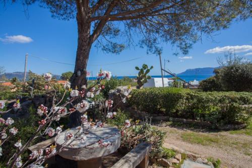 Villa Bados 6 - Klodge - Terrata