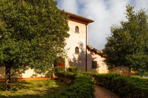 Rosso Del Chianti - image 7