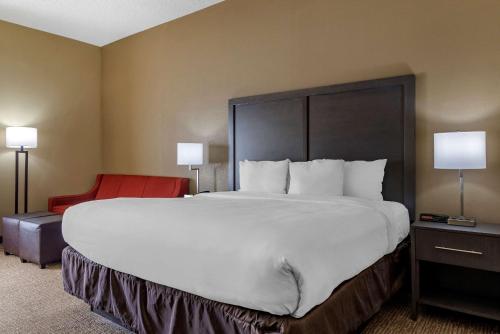 Comfort Inn Opelika - Auburn