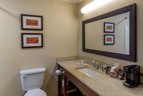 Comfort Inn Opelika - Auburn