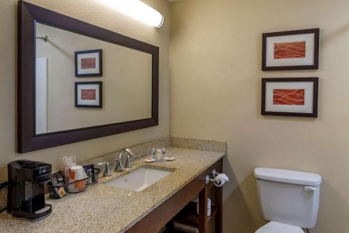 Comfort Inn Opelika - Auburn