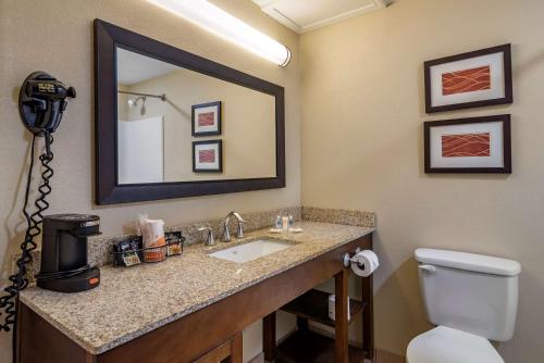 Comfort Inn Opelika - Auburn