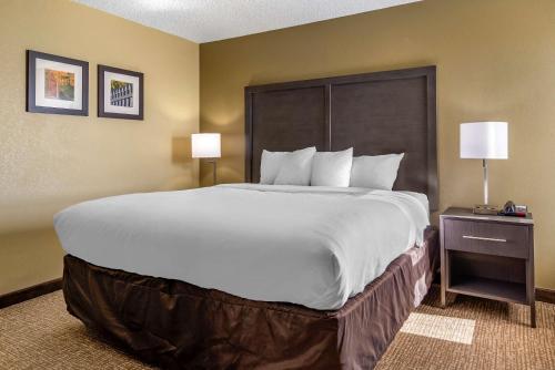 Comfort Inn Opelika - Auburn