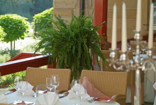 Villa Mittermeier Hotellerie und Restauration - image 6