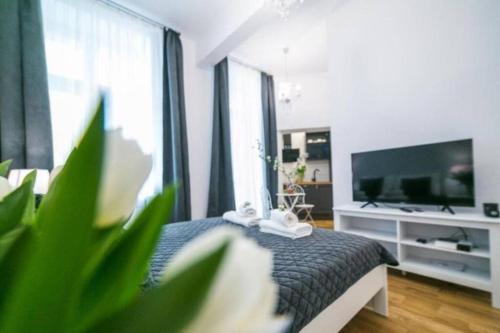 Charming ELITE Apartment Wielopole Krakow Old Town STUDIO