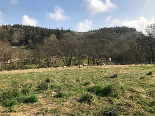 Diablos Luxury Shepherds huts - image 8