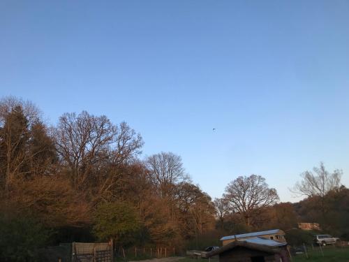 Diablos Luxury Shepherds huts - image 6