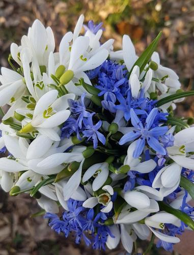 Genius Guest Unique Banovci Apartment Genius Guest Unique Banovci Apartment