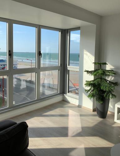 La regate Wimereux - vue mer