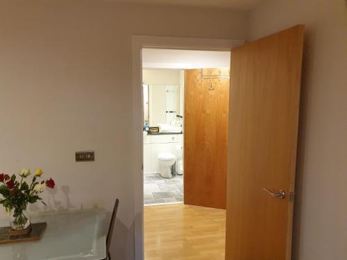 Birmingham Diamond, 2 bedroom Apartment, Birmingham (foto 8)