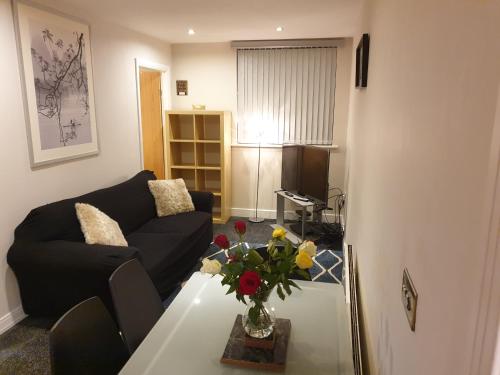 Birmingham Diamond, 2 bedroom Apartment, Birmingham (foto 6)