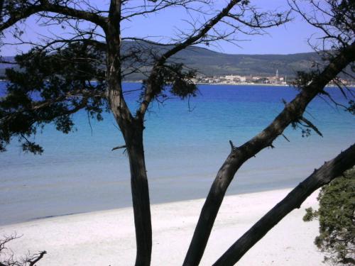 瓦利威尔第住宿加早餐旅馆