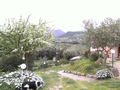B&B Valli Verdi