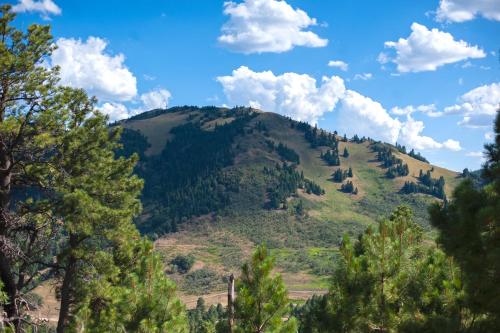 Huge Ruidoso Retreat with Game Room, Pool, 2 Balconies, 2 Kitchens - Sleeps 17! Huge Ruidoso Retreat with Game Room, Pool, 2 Balconies, 2 Kitchens - Sleeps 17!