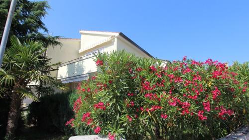 Apartments Grahovac