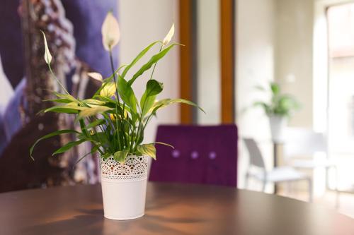 Luxus-Apartment am Neumarkt - image 4