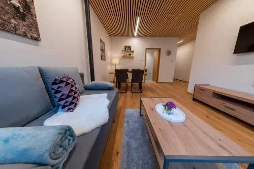Känzele Appartements in Reuthe, Österreich