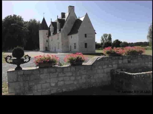 Manoir de Chandoiseau - Chambre d'hôtes - Les Trois-Moutiers