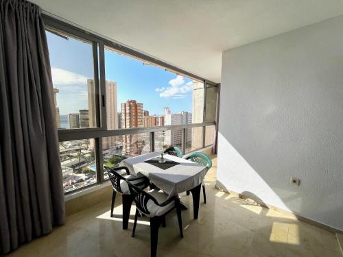 One-Bedroom Apartment image 10