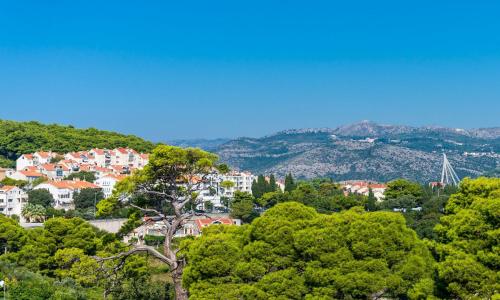 Apartment LuNi Dubrovnik 