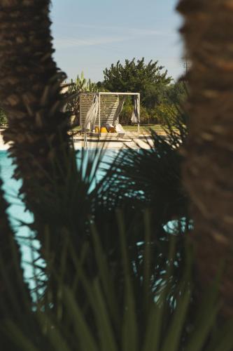Swimming pool, Masseria Donna Huga in Acquarica Del Capo