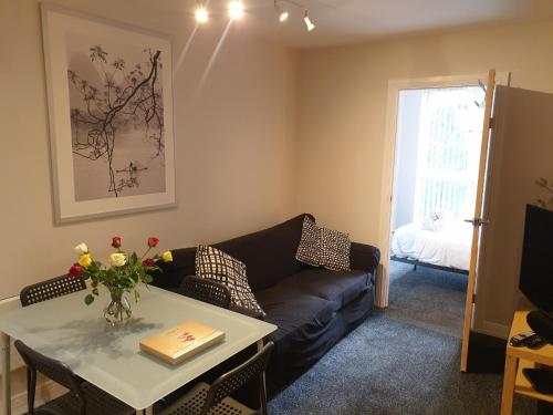 Birmingham Emerald, 2 bedroom Apartment, Birmingham (fotografie 8)