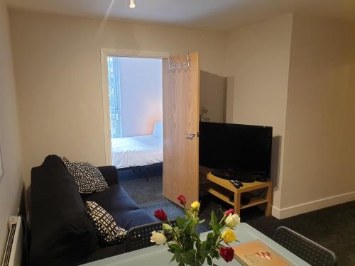 Birmingham Emerald, 2 bedroom Apartment, Birmingham (fotografie 7)