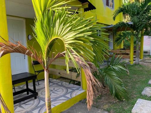 Tha Lagoon Spots CooL VyBz in พอร์ตอันโตนิโอ