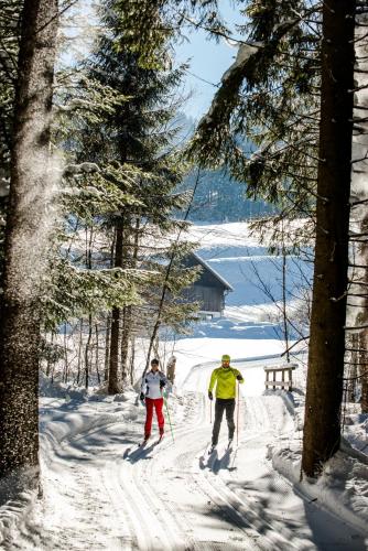 Hotel Landgasthof Fischerwirt - image 3