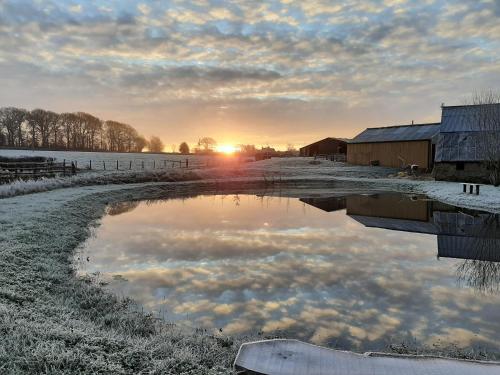 Shave Farm - image 11