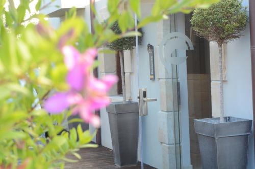 Tinas de Pechon - image 4