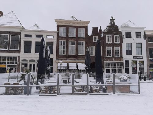 Hector Zierikzee - image 5