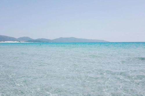 Casa vacanze kitesurf Apt 4 - Gli Ulivi