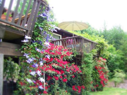 Misty Valley Inn - image 8